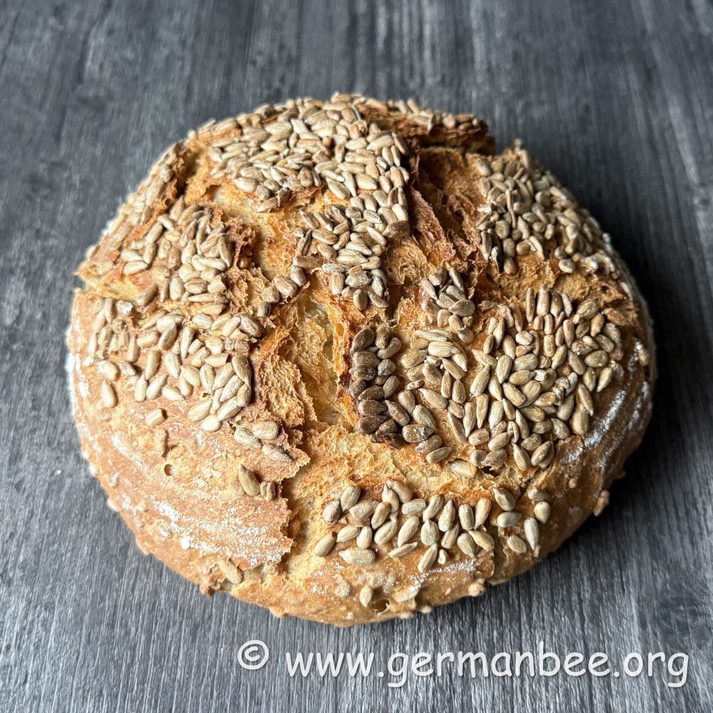 Mit Sonnenblumenkernen bedeckte Brotkruste mit natürlicher Rissbildung durch den Ofentrieb.